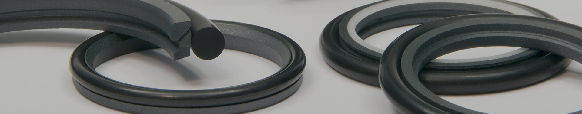 Unveiling the Skeleton Oil Seal: The Essence of Efficiency and Protection